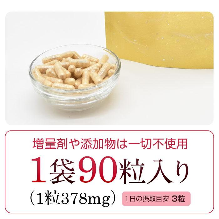 国産 冬虫夏草 100％ サプリメント 添加物ゼロ コルジセピン サプリ