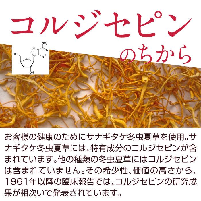 国産 冬虫夏草 100％ サプリメント 添加物ゼロ コルジセピン サプリ