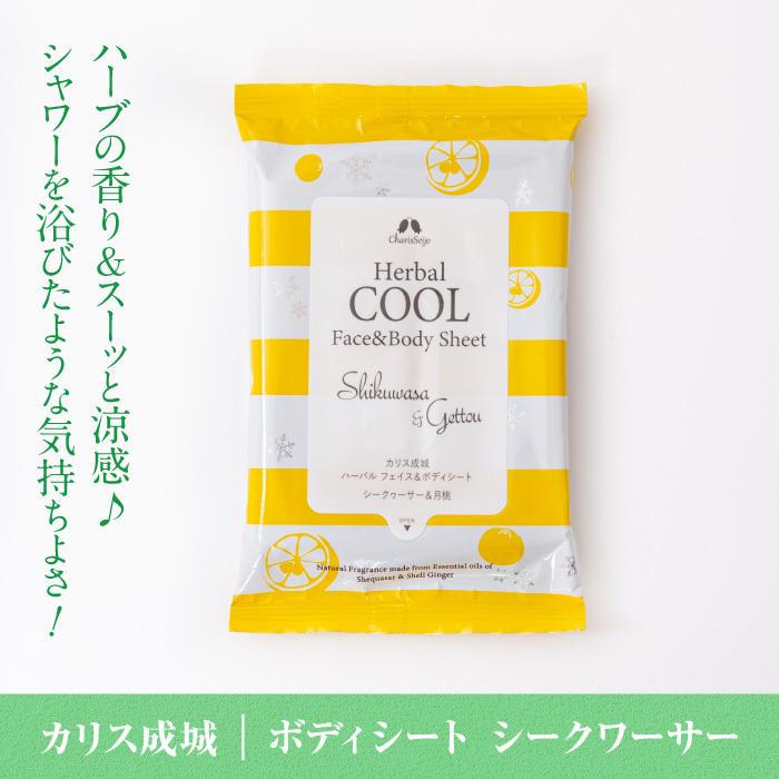 顔にも使える ボディシート 日焼け止め セット フェイスシート 汗ふき