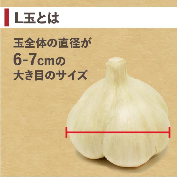 にんにく 青森 1kg 福地ホワイト ニンニク 新物 送料無料 : れいたす