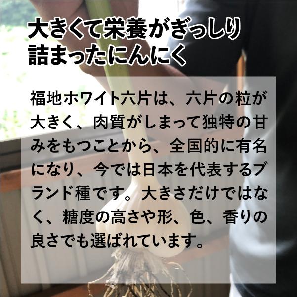 にんにく 青森 1kg 福地ホワイト ニンニク 新物 送料無料｜reitasu｜08