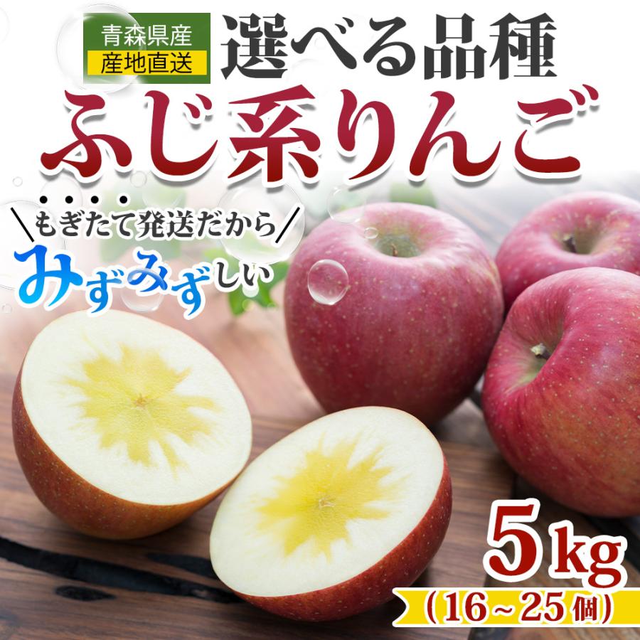 青森県産CA ふじ 赤特 1箱2段 28玉入り 青森県産CA たちねぷた