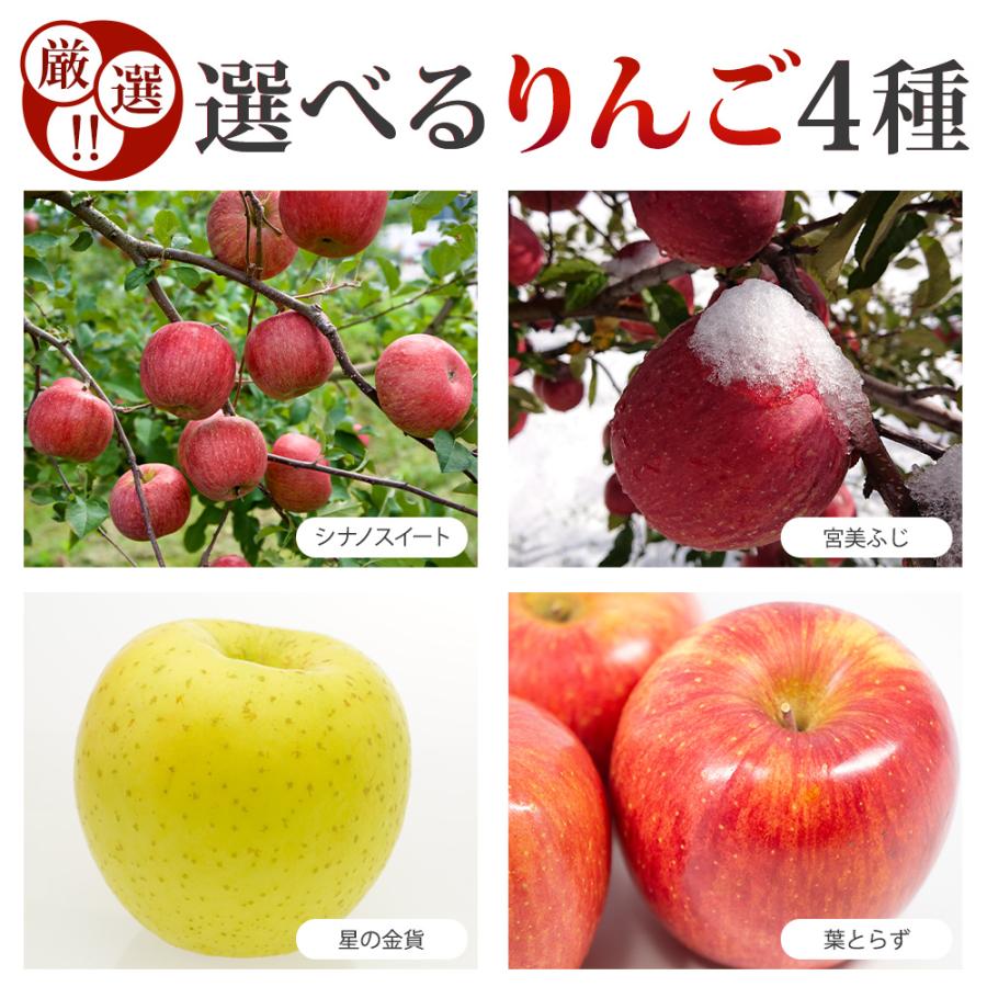 お歳暮 りんご 青森県産 宮美ふじ 5Kg 16〜25玉入り リンゴ ふじ