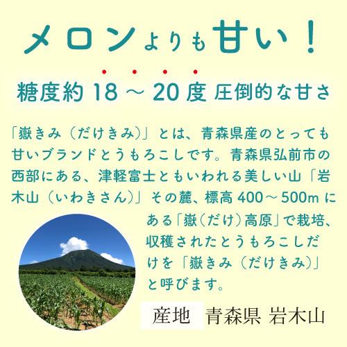 2026年度8月より出荷】とうもろこし 嶽きみ 産地直送 10本