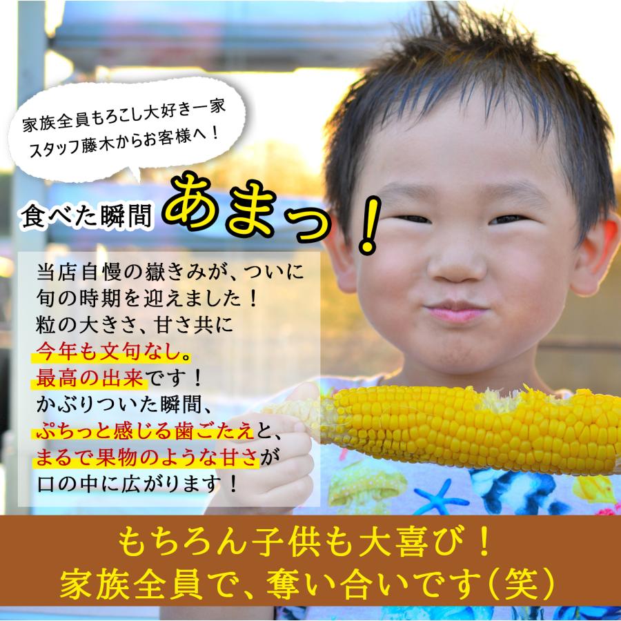 2026年度8月より出荷】とうもろこし 嶽きみ 産地直送 10本