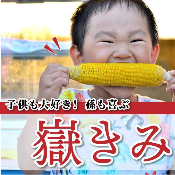 予約受付中2026年度8月より出荷】とうもろこし 嶽きみ 産地直送 随時
