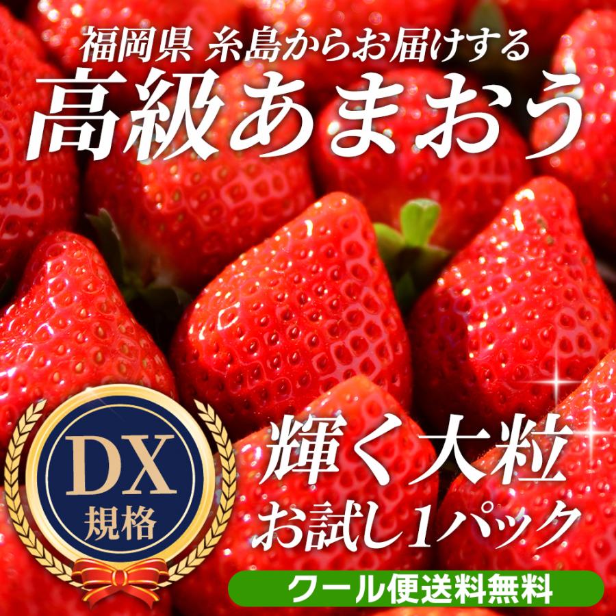 いちご 苺 あまおう 260g 1パック 福岡 糸島 産地直送 送料無料 ギフト クール便 イチゴ フルーツ 515 れいたす 通販 Yahoo ショッピング