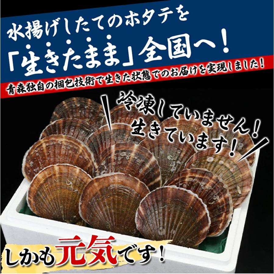 お中元 御歳暮 ギフト  ホタテ 殻付き 生食 活ほたて 約20〜28枚 サイズ4キロ 青森 刺身 生食 BBQ バーベキュー 帆立 ほたて 食材 海鮮 貝