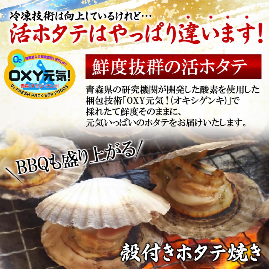 御歳暮 ギフト ホタテ 殻付き 生食 活ほたて 約25〜35枚 サイズ5キロ 青森 陸奥湾 刺身 生食 BBQ バーベキュー 帆立 ほたて 送料無料 食材 海鮮 亜鉛｜reitasu｜04