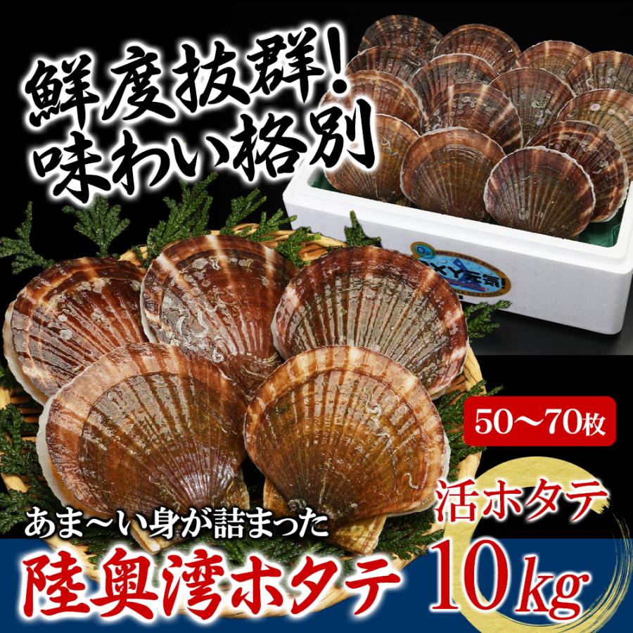 父の日 お中元 ホタテ 殻付き 生食 活ほたて 約50〜70枚 サイズ 父の日 お中元 ホタテ 殻付き 生食 活ほたて 約50〜70枚 サイズ