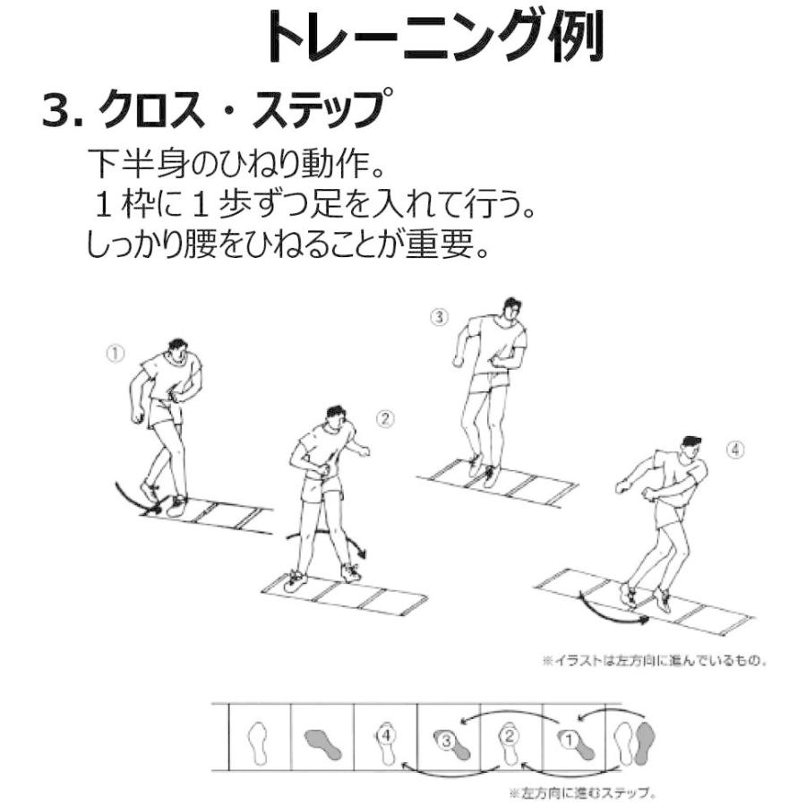 高速配送 Molten モルテン ラダートレーナーdx Mlddx 第1位獲得 Zoetalentsolutions Com