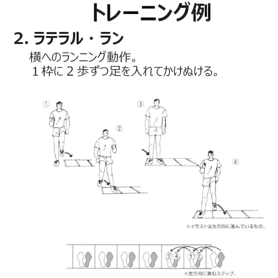 高速配送 Molten モルテン ラダートレーナーdx Mlddx 第1位獲得 Zoetalentsolutions Com