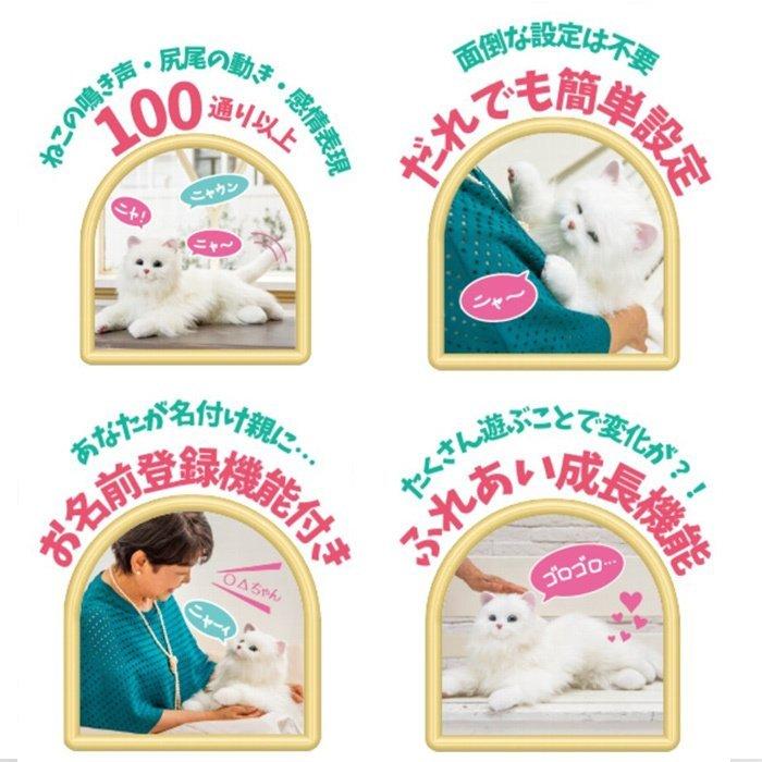 デジレクト しっぽふりふり あまえんぼうねこちゃん ミックス デジレクト しっぽふりふり あまえんぼうねこちゃん ミックス