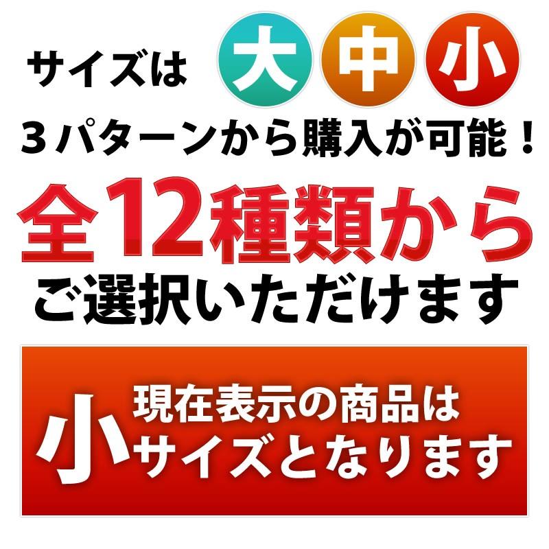 VELENO VELENOステッカー 小 2タイプ 2カラー 白 黒 カーステッカー 車