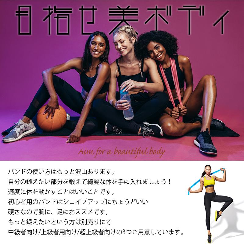 かっさ フェイス ローラー 美顔 カッサ プレート マッサージ バンド 3