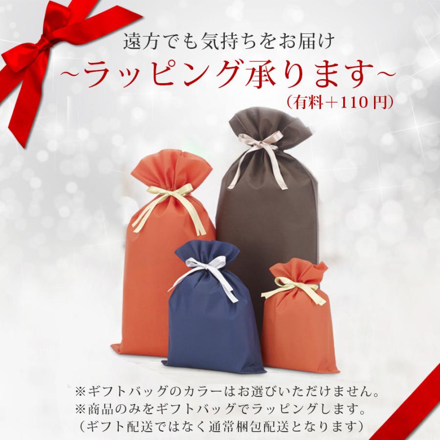 1台8役美顔器Shine シャイン 本格自宅エステ機器で美肌ケア EMS 1台8役美顔器Shine シャイン 本格自宅エステ機器で美肌ケア EMS