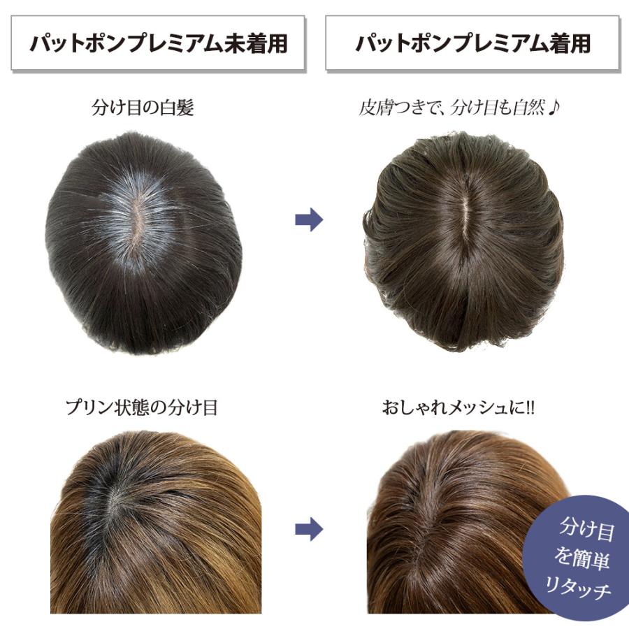 ピンなし部分かつら パットポンプレミアム ショート ロング