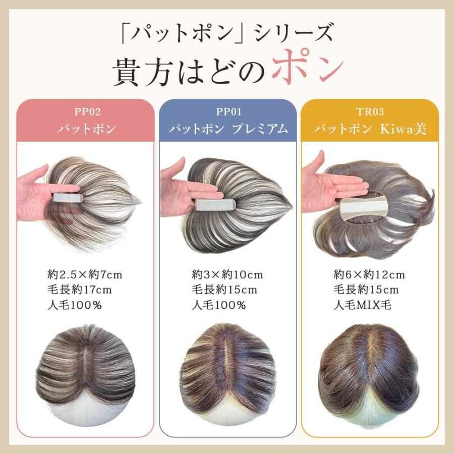 毛量少なめ ピンなし 部分かつら PP02 パットポン つむじ 薄毛カバー