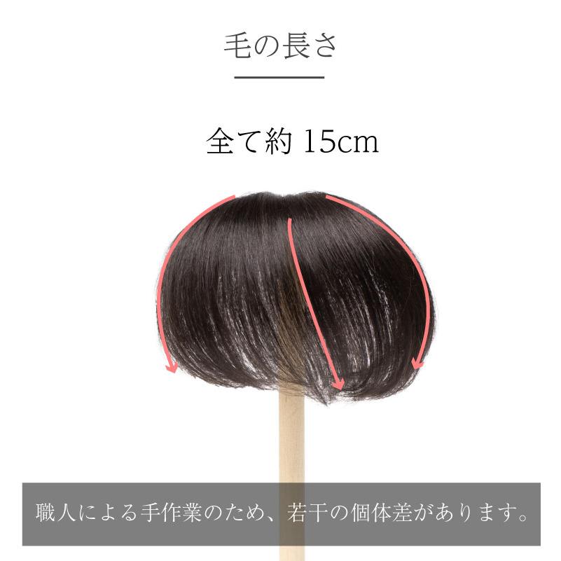 返品OK 部分ウィッグ 人毛100% エアピン Airpin つむじ専用 頭頂部