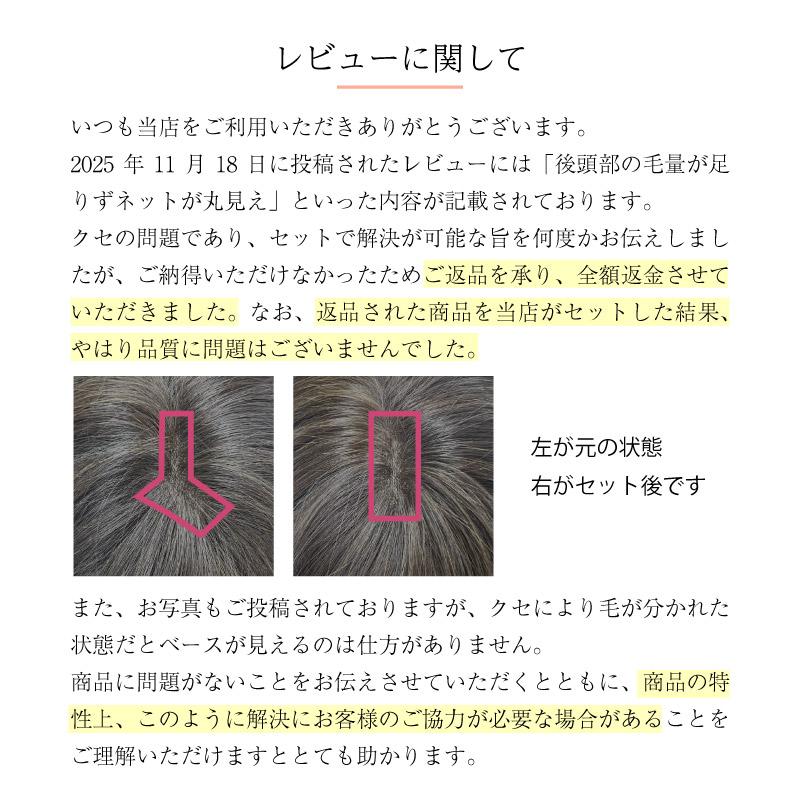 返品OK 部分ウィッグ 人毛100% ヘアピース 女性 頭頂部 かつら 頭頂部ウィッグ 白髪隠し 人毛 ミセス デイリートップウィッグL（約20cm・地肌ネット）の画像