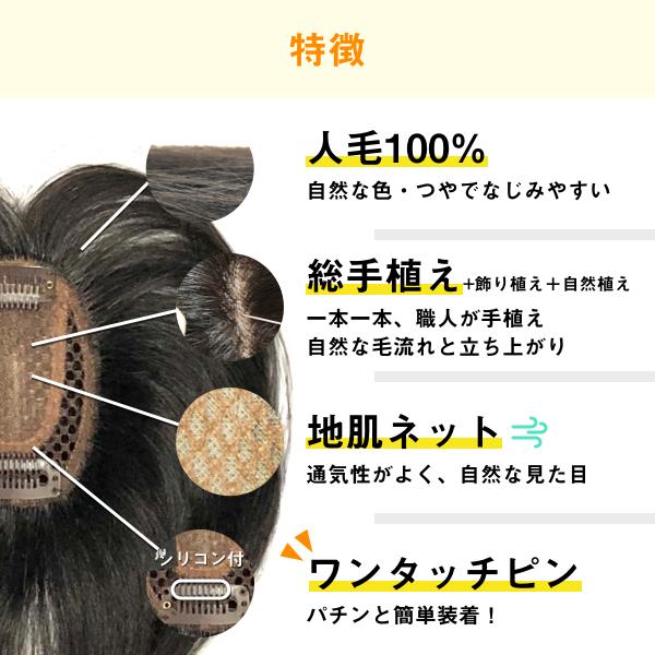 返品OK 部分ウィッグ 人毛100% ミセス 自然 総手植え ヘアピース 薄毛 白髪隠し 分け目 つむじ 女性用 かつら 脱毛 デイリートップウィッグM(SB+5cmタイプ) :DAM-SB5:ウィッグ専門店 リージュ - 通販 - Yahoo!ショッピング 返品OK 部分ウィッグ 人毛100% ミセス 自然 総手植え ヘアピース 薄毛 白髪隠し 分け目 つむじ 女性用 かつら 脱毛 デイリートップウィッグM(SB+5cmタイプ) :DAM-SB5:ウィッグ専門店 リージュ - 通販 - Yahoo!ショッピング
