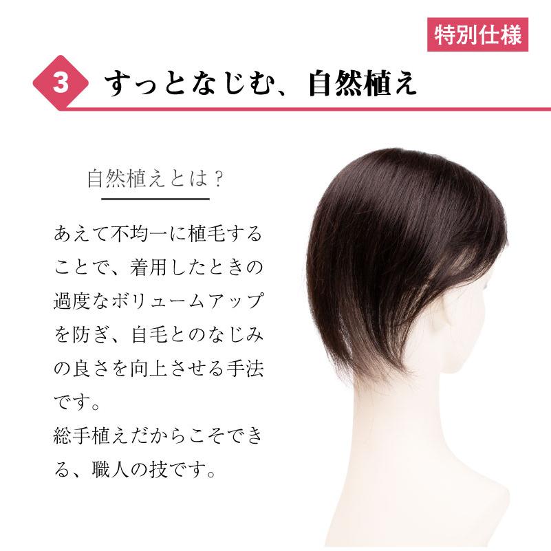 返品OK 部分ウィッグ 人毛100% ヘアピース 女性 頭頂部 かつら 頭頂部ウィッグ 白髪隠し 人毛 ミセス デイリートップウィッグL（約15cm・リアルスキン）の画像