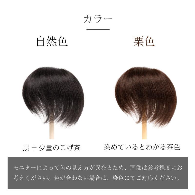 返品OK 部分ウィッグ 人毛100% ヘアピース 女性 頭頂部 かつら 頭頂部ウィッグ 白髪隠し 人毛 ミセス デイリートップウィッグL（約15cm・リアルスキン）の画像