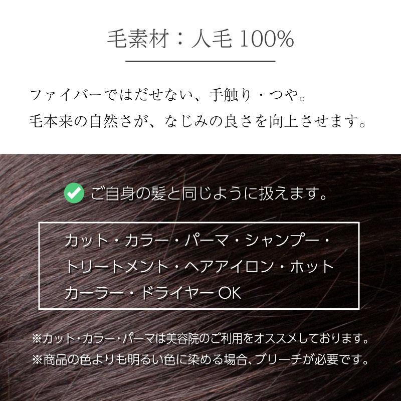返品OK 部分ウィッグ 人毛100% ヘアピース 女性 頭頂部 かつら 頭頂部ウィッグ 白髪隠し 人毛 ミセス デイリートップウィッグL（約15cm・リアルスキン）の画像