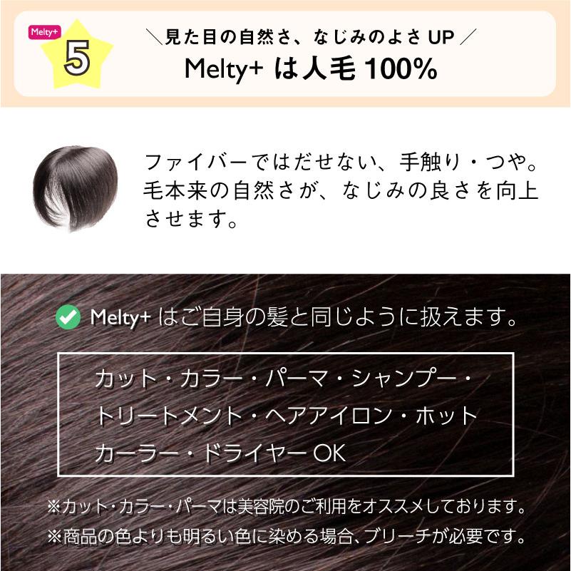 新価格】 返品OK ピンなしウィッグ メルティプラス 部分 ウィッグ ピン