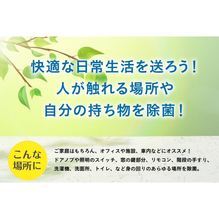 あすつく 日本製 アルコール ジェル スプレー 携帯用 エタノール75%配合 2本 アルコール除菌スプレーとハンドジェルの2WAY ハンズガード60ml 送料無料|relaku|03