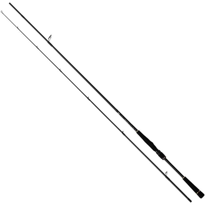 ダイワ(DAIWA) シーバスロッド ラテオ・R 93M・R 釣り竿 DAIWA シーバスロッド ラテオ 93M 釣り竿