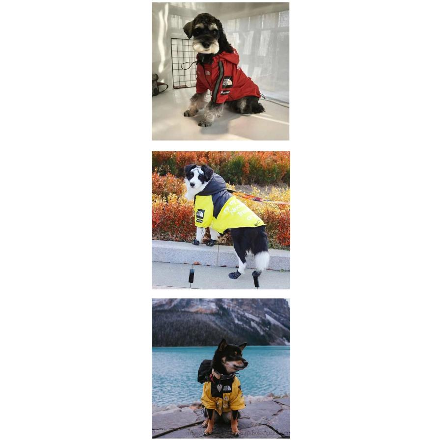 【初購入3500円以上で7％OFF】 犬 レインコート 犬服 着せ : Relax Wholesale - 通販 - Yahoo!ショッピング
