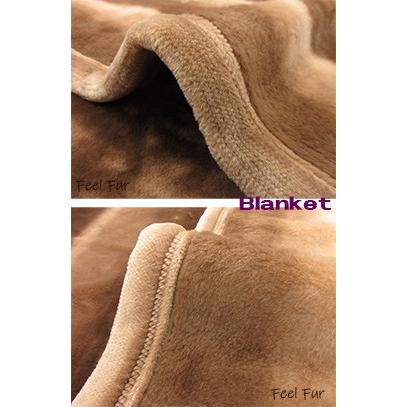 西川（nishikawa） 西川毛布 シングル 日本製 おすすめ ブラウン