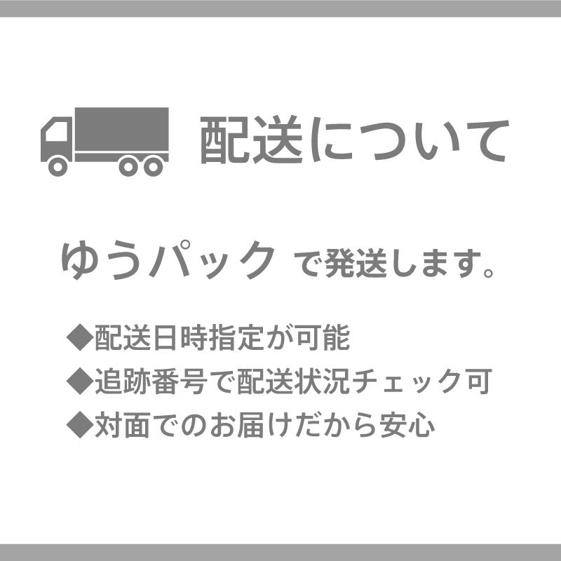 Hoola Link (フーラリンク)　マスク＆メガネチェーン　パーツも付属してストラップとしても使えます |  | 11