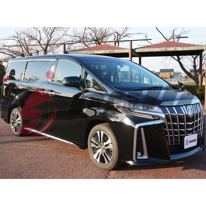 アルファード ヴェルファイア 30系 前期 後期 サイドガーニッシュ