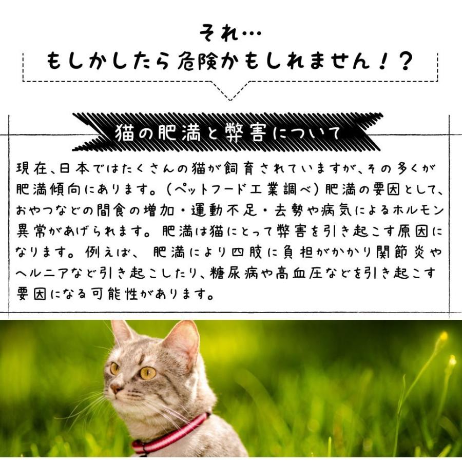 ペットサプリメント 猫のすとーんスリム 無添加 送料無料 猫ダイエット ペットダイエット 乳酸菌 ビフィズス菌 グルコマンナン デキストリン イヌリン 酵母 Catslim 1 リリーフライフ安心通販 通販 Yahoo ショッピング