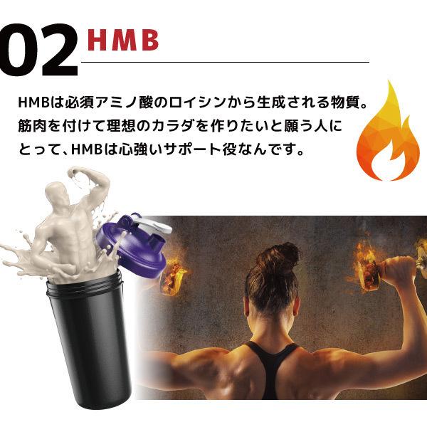 カルニチン+HMB＆BCAA ダイエットサプリ 燃焼系ダイエット αリポ酸 ブラックジンジャー サラシアエキス 白インゲン デキストリン｜relieflife｜09