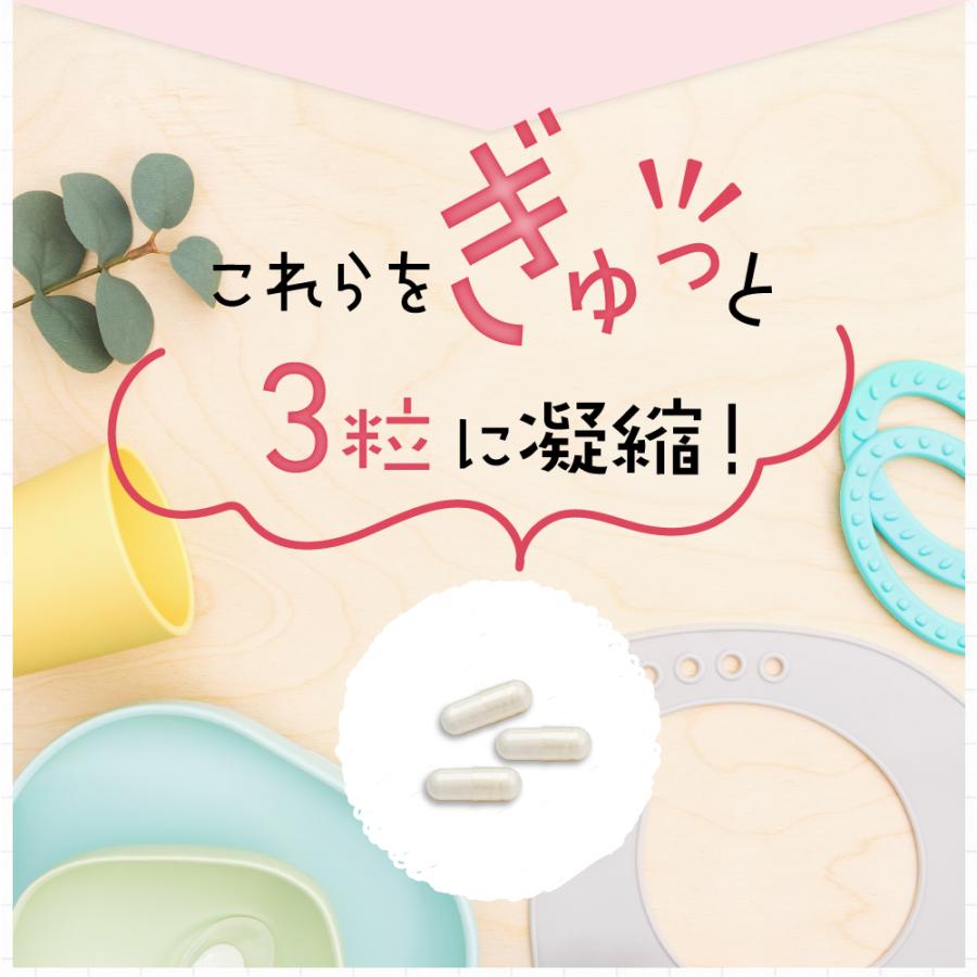 葉酸 400μg 先輩ママのあるとイイなを形にした葉酸 温活 妊活 モノグルタミン酸型 鉄分 妊娠 妊婦 ビタミン ミネラル カルシウム 亜鉛 高麗人参 金時生姜｜relieflife｜14