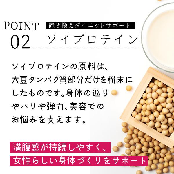 おいしいプロテイン タンパク質 大豆 おからパウダー プロテインダイエット ホエイ ソイ マルチ ファスティング 運動 ジム ワークアウト ビタミンb類 抗酸化 Oipro 1 リリーフライフ安心通販 通販 Yahoo ショッピング