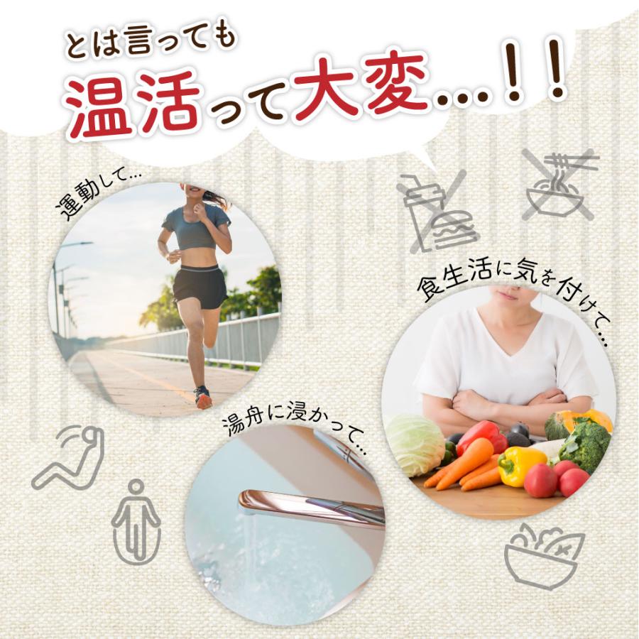 温活紅茶〜しょうがとレモン風味〜 新商品 金時生姜 しょうが 高麗人参 ヒハツ ヘスペリジン 黒糖 熱不足 寒がり 防寒 巡り 粉末紅茶 基礎体温 温活｜relieflife｜12