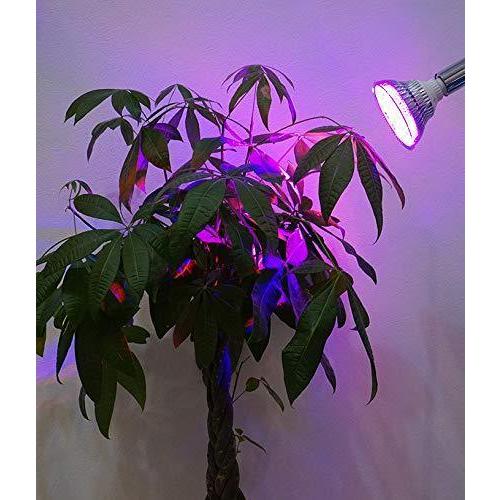 Led Plantlight Opt 18w 植物育成使用 紫色電球 E26 植物の光合成が最も強い効果を促進するために 600nm 650nmの赤 640nm 690nmの赤 4nm 470nmの青 観葉植物 家庭菜園 A B077k3gvch 2110 の赤２種類 青１種 A B077k3gvch 2110 Led Plantlight リライフ 水耕栽培