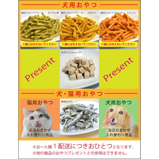 RIGALO リガロ ハイプロテインレシピ 子犬成犬用 ラム 12kg