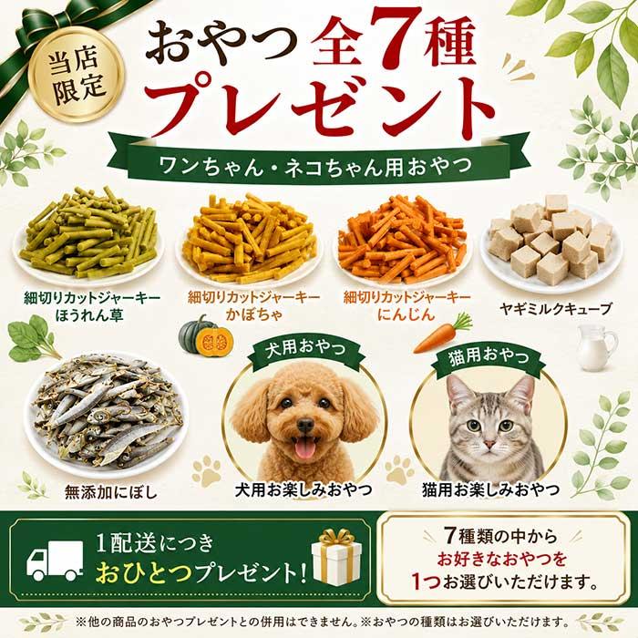 ソルビダ グレインフリー チキン 室内飼育成犬用 1.8kg ソルビダ