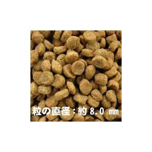 ソルビダ グレインフリー チキン 室内飼育体重管理用 1.8kg インドア