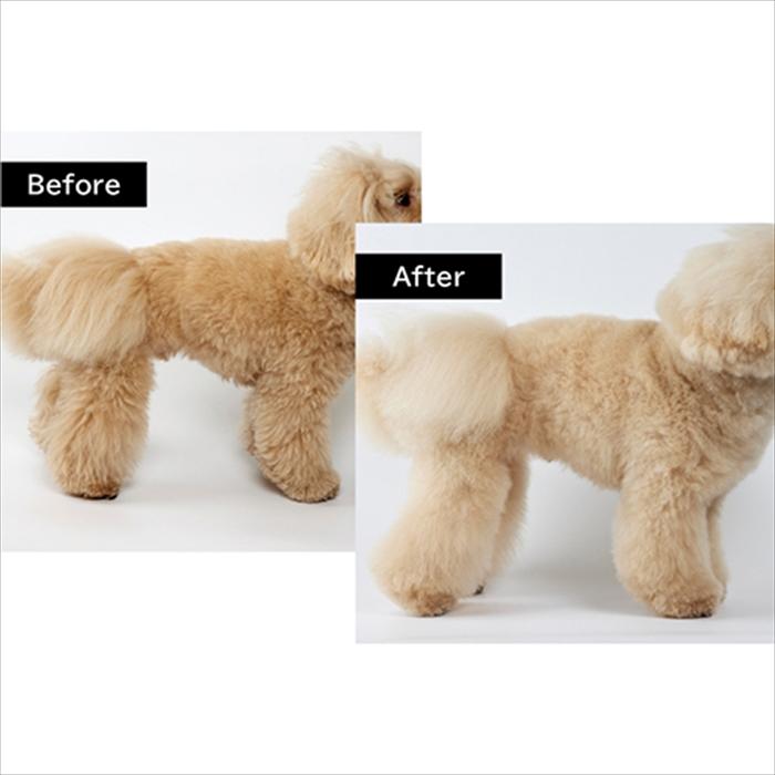 ゾイック カシミヤタッチ エッセンス 400ml ZOIC （犬用）nw : Relish