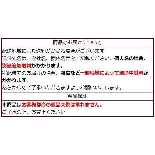 BDスタジオ背景紙 レギュラーサイズ モノクロ系 2.72X11m 全50色 撮影