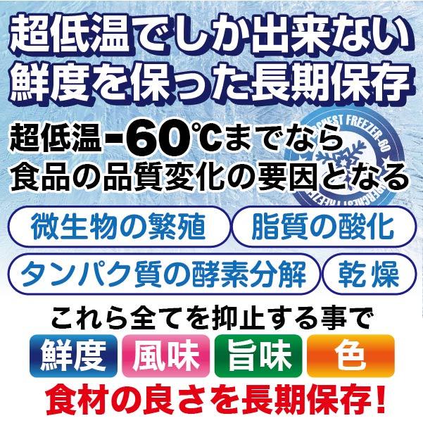 レマコム 冷凍ストッカー業務用 冷凍庫 -60℃〜-20℃ 超低温タイプ フローズントップ 100L RSR-100 超低温 フリーザー 60度〜 20度 ノンフロン 自然冷媒｜remacom｜03