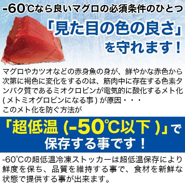 レマコム 超低温冷凍庫 RSR-100 フローズントップ 100L 業務用冷凍庫