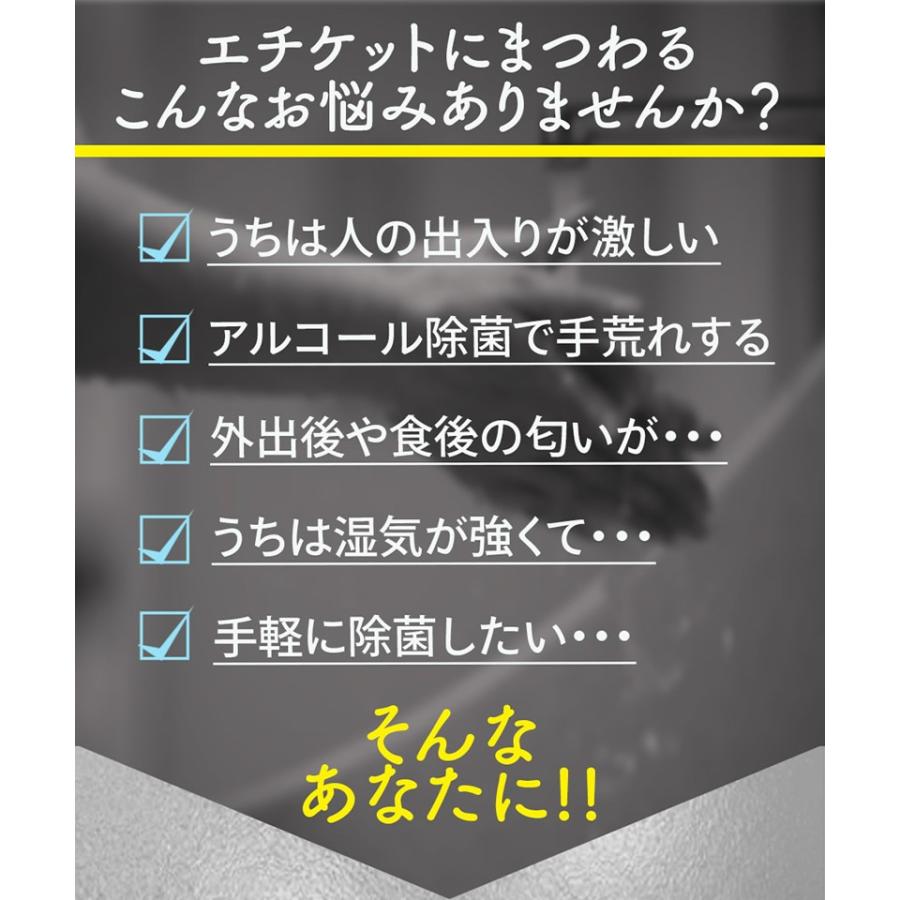 即納 2本セット 除菌スプレー 500ml ウイルス対策 銀イオン ナノシルバー 日本製 除菌 手 スプレー 消臭 防カビ 安全 安心 消臭剤 | ブランド登録なし | 02