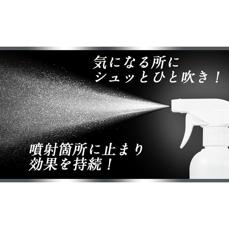 即納 除菌スプレー 500ml ウイルス対策 銀イオン ナノシルバー 日本製 除菌 手 スプレー 消臭 防カビ 安全 安心 消臭剤 | ブランド登録なし | 06